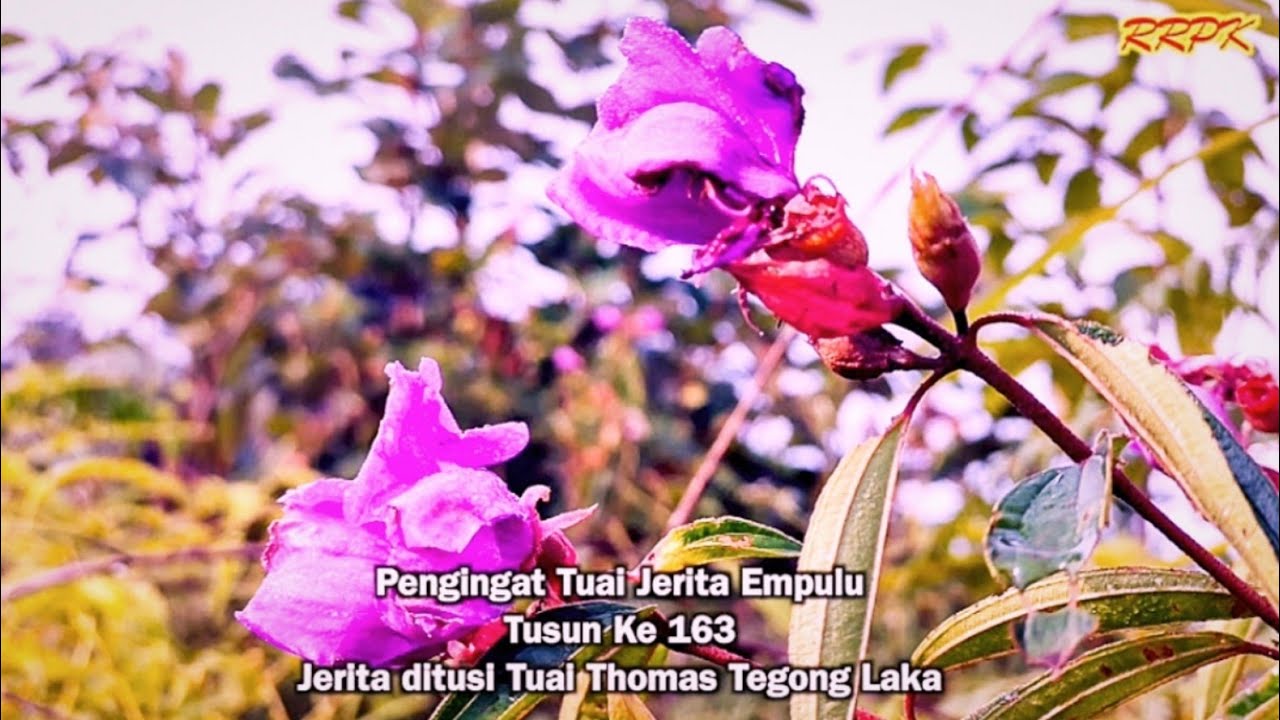 Jerita Empulu Tusun Ke 163