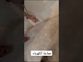 شكون يقولنا علاه  