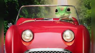 Geico Gecko Radio Commercial  Bigger In Texas 2007