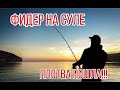 ФИДЕР НА СУЛЕ. ПЛОТВА ПОШЛА!! НАШЕЛ ЗАЙЦА