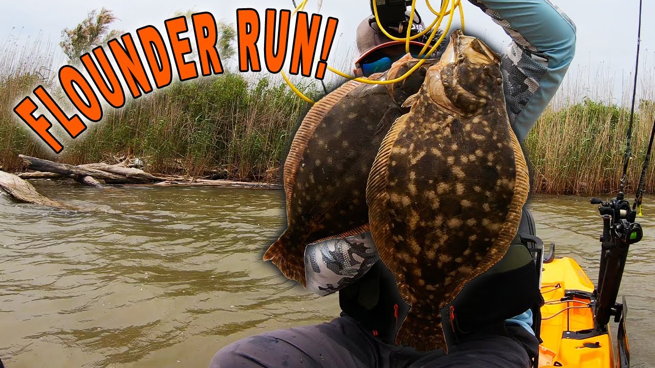 Catching Massive Flounder! It's Happening! Spring VS Fall Flounder