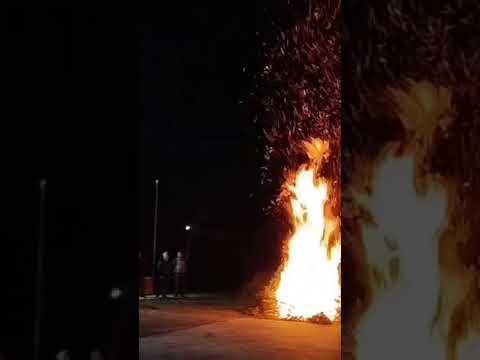 Καλολόγος στην Αγία