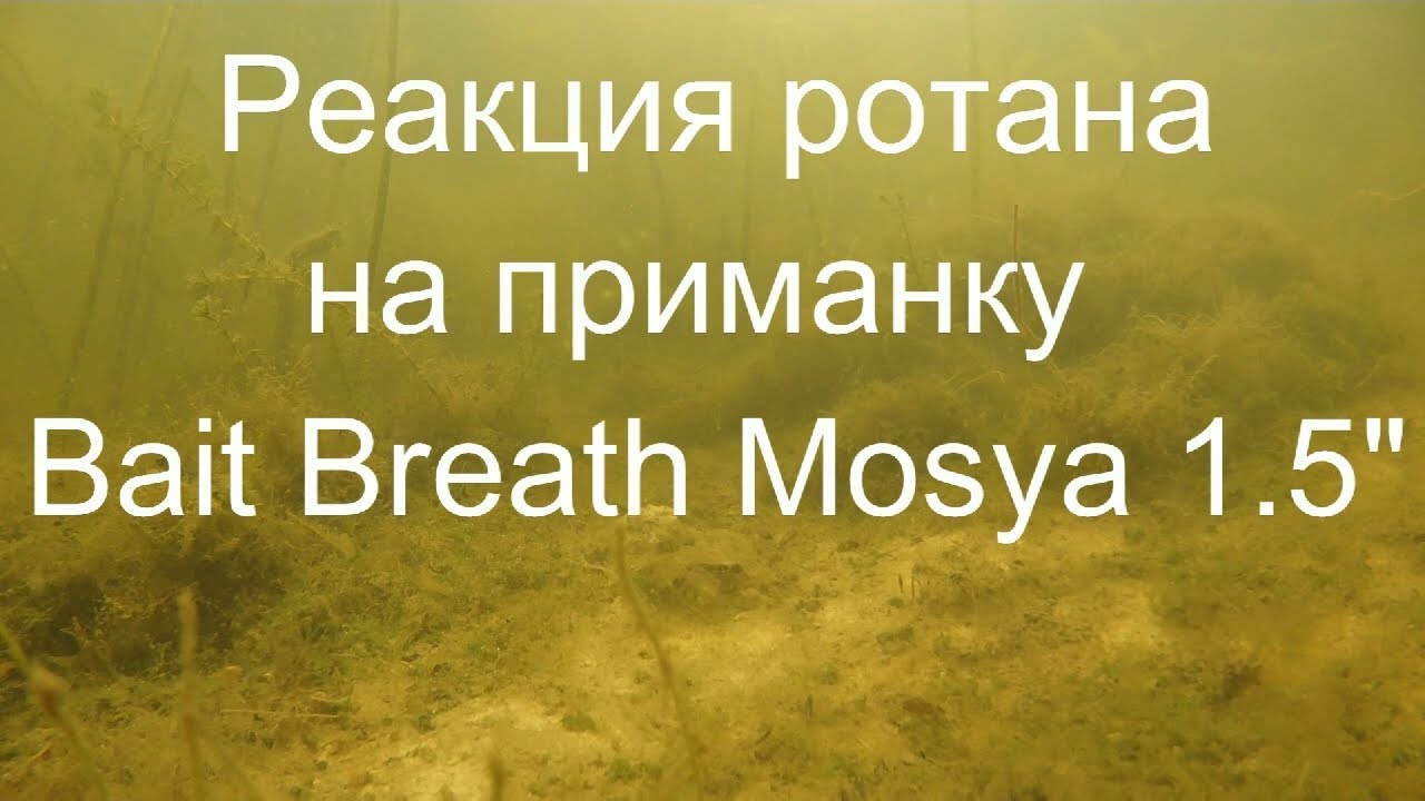 Waited with bated breath. Waited with bated breath