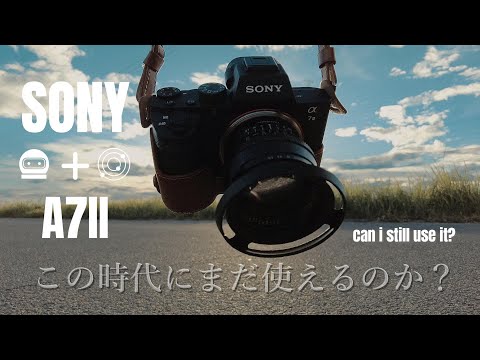 SONY - 【ショット数1665枚】a7ii【美品】 ショット数1665枚】a7ii【美品】