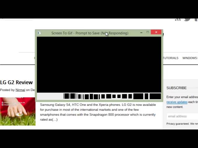 How to Create an Animated GIF File by Recording the Screen (Windows) 