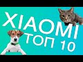 ТОП 10 товаров Xiaomi для животных