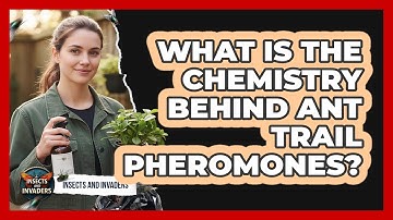 What Is The Chemistry Behind Ant Trail Pheromones? - Insects and Invaders