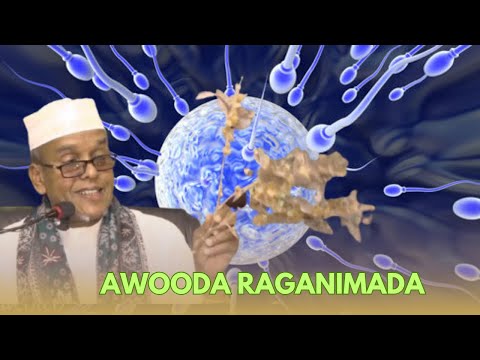 Awooda Raganimada Sh Maxamed Ismaaciil Somalia