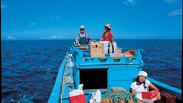 映画『パイナップル ツアーズ』予告編