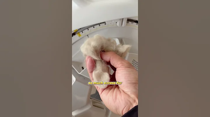 Watch the video about Watch This Ragdoll Relax with AutoComb! #pawswing #catspaw #cat #pets #amazonfinds #autocomb