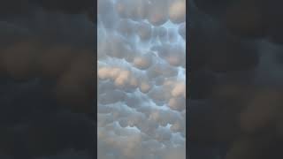 Person Capturing an Amazing Sky Filled With Bubble Shaped Clouds