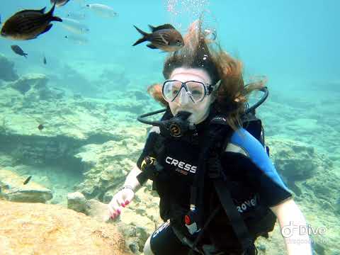 Discover Scuba Diving