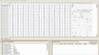 Видеоописание руткита Virus.Win32.Protector.e