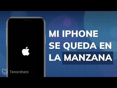 [6 formas] Mi