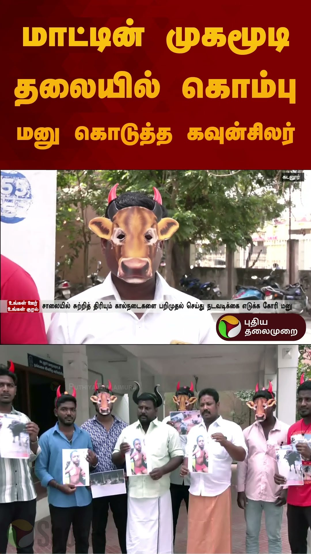 மாட்டின் முகமூடி தலையில் கொம்பு மனு கொடுத்த கவுன்சிலர் | #cuddalure | #shorts