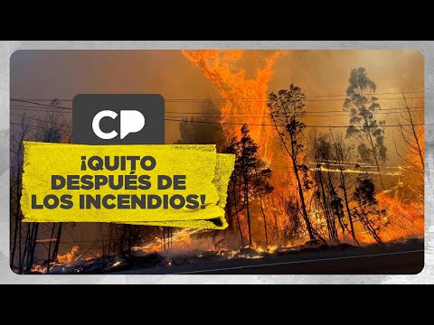 Así quedó Quito