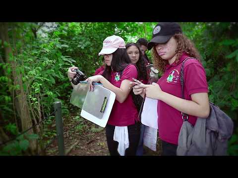 STEM Education for