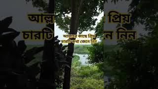 আল্লাহর সবচাইতে প্রিয় চারটি বাণী জেনে নিন #shorts #islamic #waz #wazmahfil #motivation