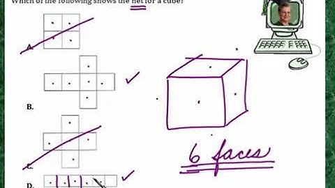 Praxis Application GEOM131  Net of a solid figure