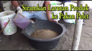 APLIKASI NASA Untuk PAKAN IKAN (Viterna, POCNASA) APLIKASI NASA Untuk PAKAN IKAN (Viterna, POCNASA)
