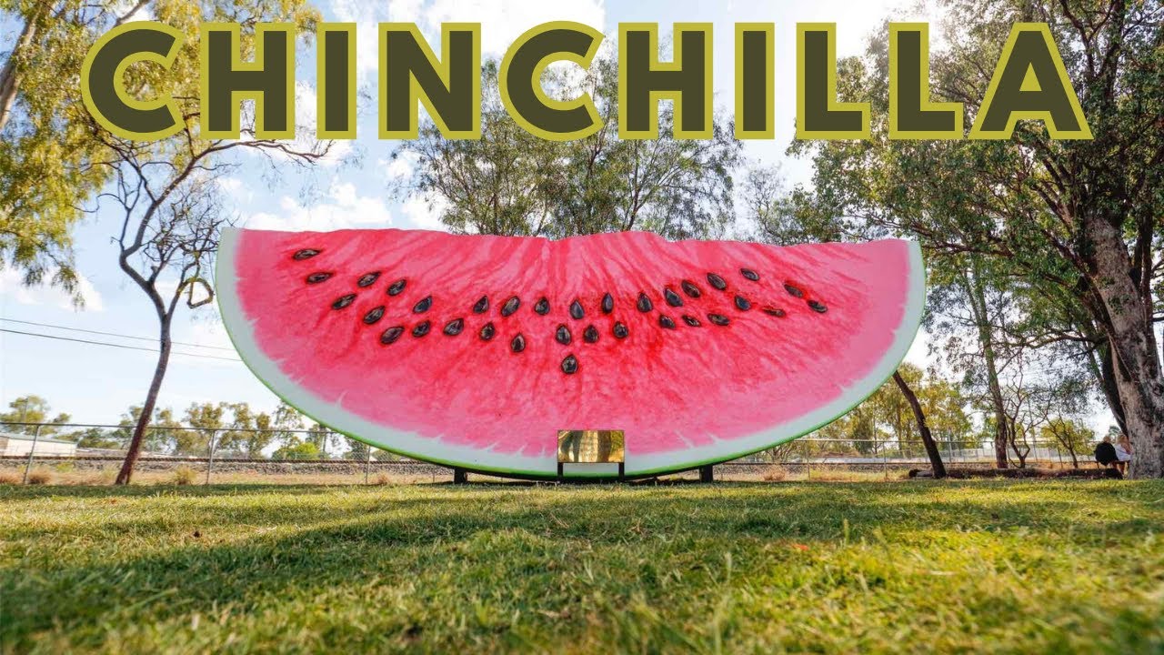 Chinchilla Watermelon Festival YouTube