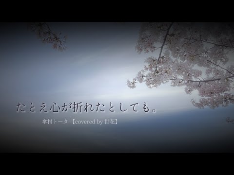 ︎✿【初投稿】たとえ心が折れたとしても。/傘村トータ︎ (世花 cover)