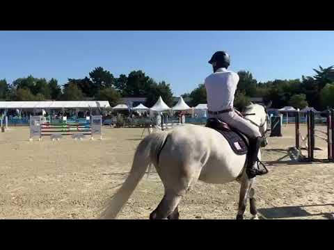 I AM DES PLANCHETTES