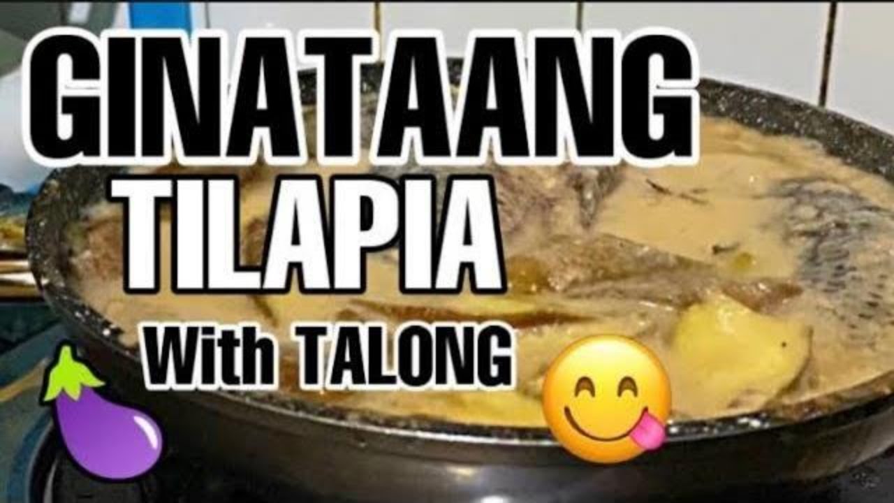 Ginataang Tilapia with Talong How to cook Ginataang Tilapia Lutong
