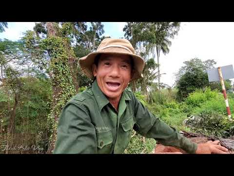 Video Anh Tùng 