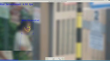 OpenVino Face Detection , Attributes