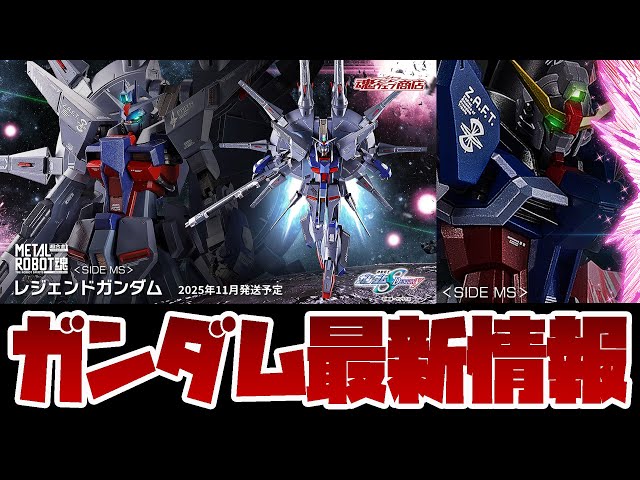 L ROBOT魂 デスティニーガンダム Re:Coordinate 2個 61ErRsmTtXL._AC_UL210_SR210,