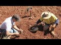ABC Landline - "Pilbara Gold Rush" with Artemis Resources