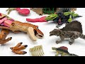 Dinosaur Battle | Tyrannosaurus Rex VS Zoidswild Dimetrodon Dino Robot