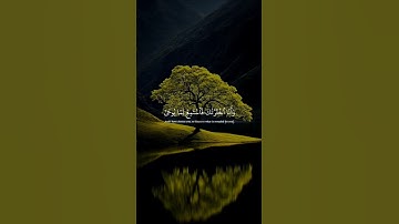وانا اخترتك فاستمع لما يوحى ♡| #قرآن #تلاوة_خاشعة #أحمد_خضر  #راحة_نفسية #تابعوني #اكسبلور #لايك