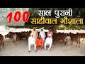 100 साल पुरानी साहीवाल गौशाला | Sahiwal Cows | Kamdhenu Gaushala |