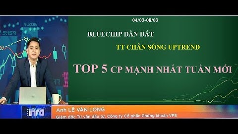 Top 10 blue chip chứng khoán việt nam năm 2024