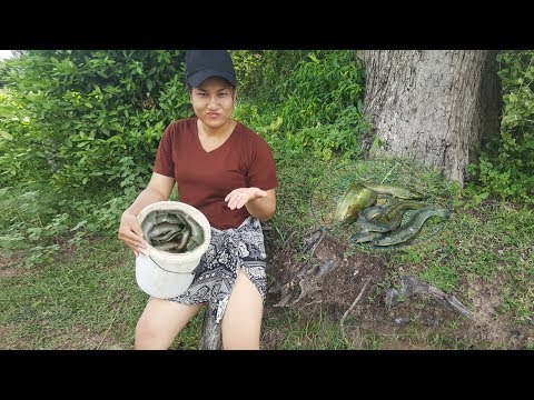 WOW! Beautiful Girl Fishing - Cambodia Traditional Fishing - How To Catch Fish By Hand Part #4