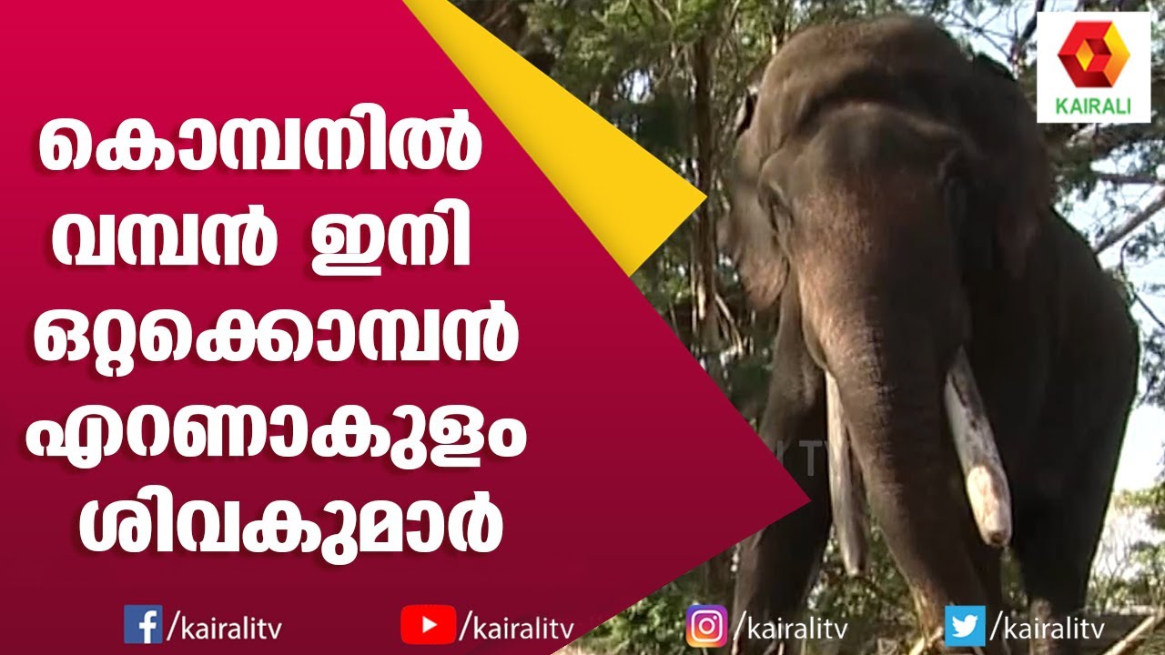 ഒറ്റക്കൊമ്പനാണേലും ഗാംഭീര്യത്തിനു ഒട്ടും കുറവില്ല | Ernakulam Sivakumar | E for Elephant |Kairali TV