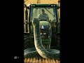 The Field's Guardian: Tractor Encounters a Colossal Snake