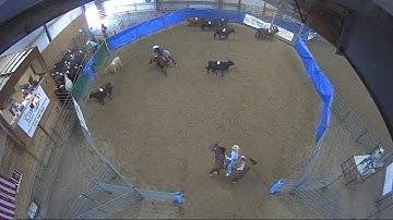 Big Sky Ranch Sorting Saddle Series Finals - Draw - Round #2 - Ride #4