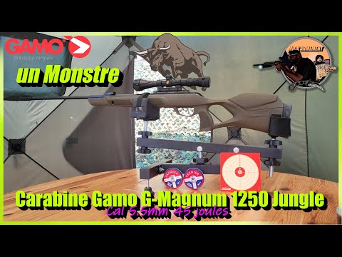 Vidéo: Carabine Gamo Hunter 1250 : avis, spécifications et photos