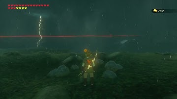 [DAY 749] of finding one korok seed everyday until Totk comes out