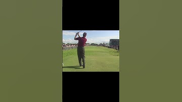 Steve Elkington Beautiful Iron Swing from 2002