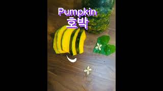 How to Say Pumpkin In Korean learnkorean epstopik  호박 ? pumpkin pumpkin_recipe learning