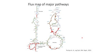Metabolic drug repurposing for autoimmune... - Bhanwar Lal Puniya - SysMod - Talk - ISMB/ECCB 2021