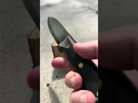 How Does an LT Wright Knives Genesis Do at Batoning Oak?