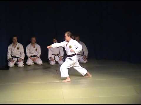 Seibukan at Koryu 2009, part 1