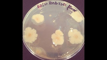 Environmental Sample for Microlab-At-Home