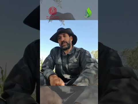 شوارع المدينة وكتلها الإسمنتية أم تنمية الريف أيهما أولا