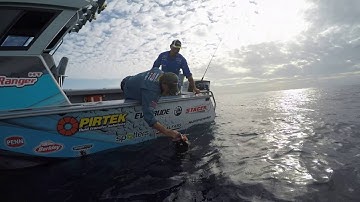 Berkley Elevator Heads with Michael Guest